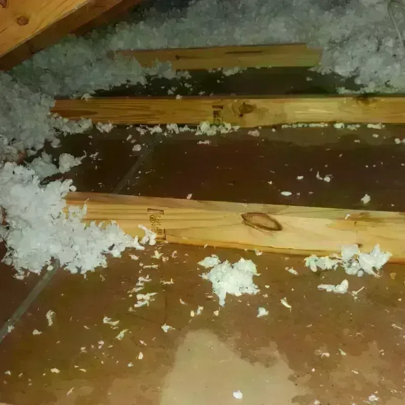 Attic Water Damage in Kings Park West, VA